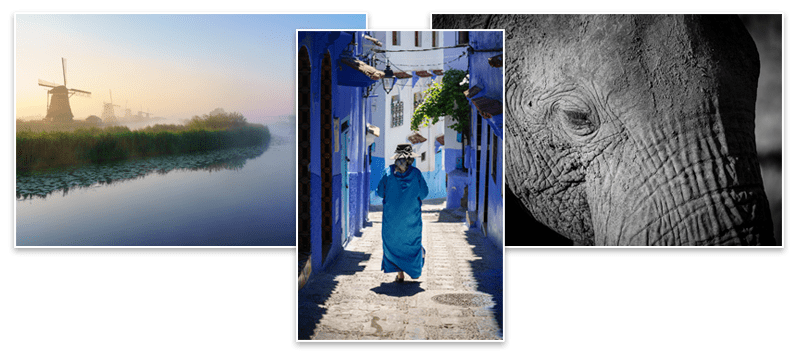 Gratis Fotografie Cursus - Altijd scherpe foto's Gratis Fotografie Cursus