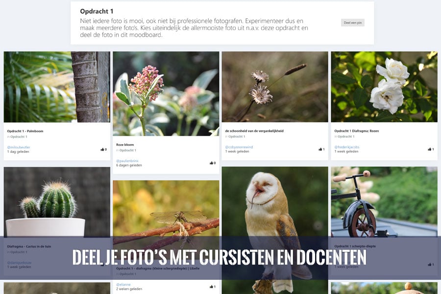 Fotografie cursus online met praktijkopdrachten Online Fotografie Cursus met opdrachten