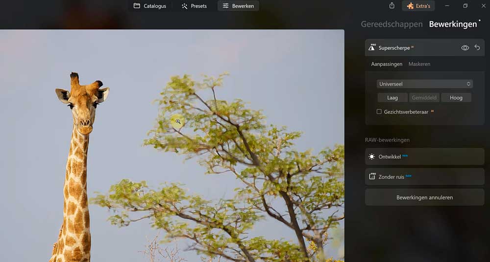 Online cursus Luminar Neo - Uitleg extensies Online cursus Luminar Neo - Uitleg extensies
