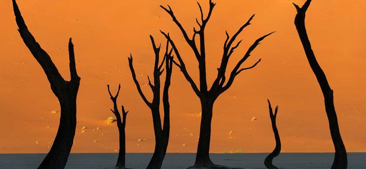 Fotografiereis naar Namibië: Sossusvlei (Chi Hong)