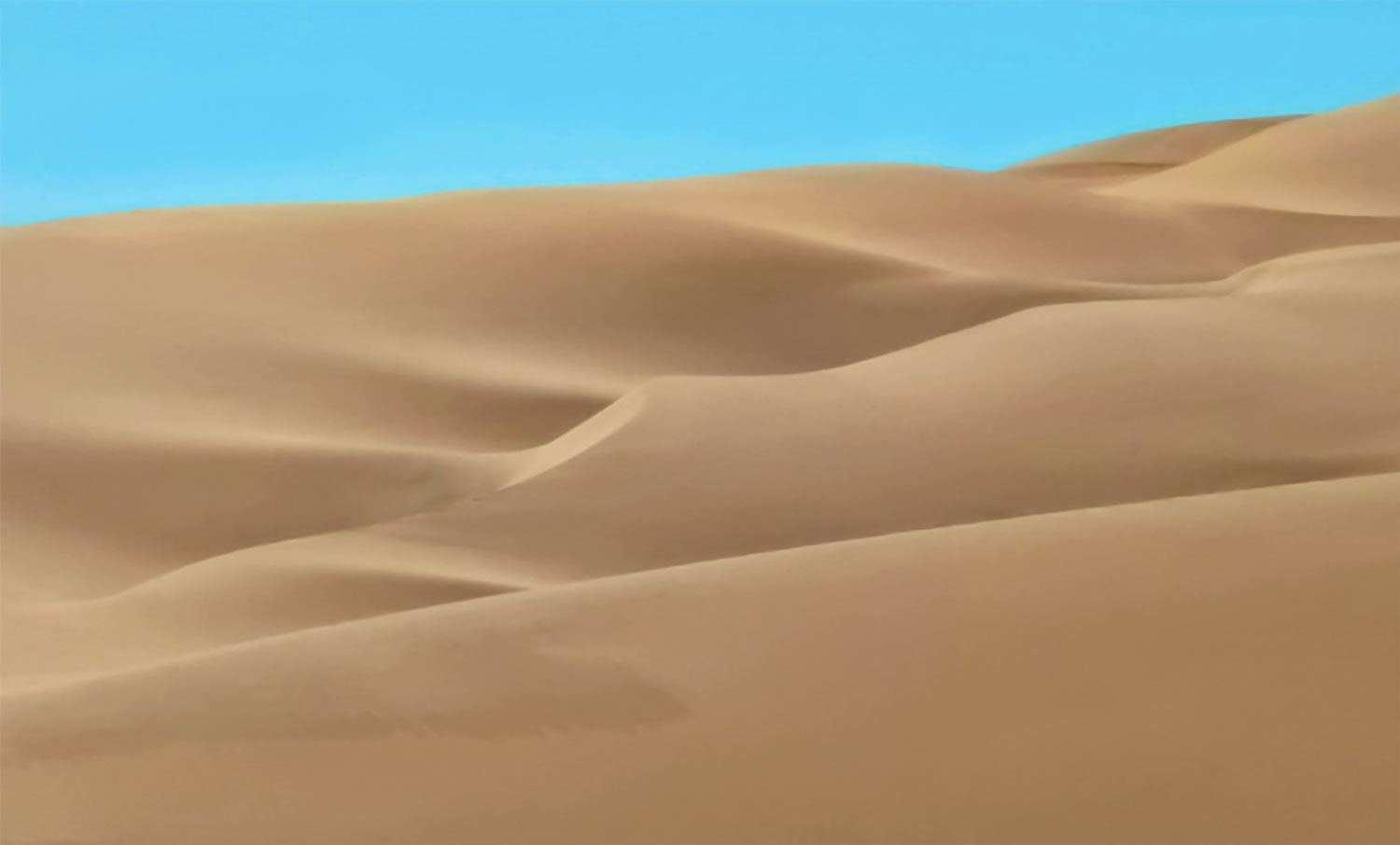 chi hong namibie woestijn fotografie fotoreis
